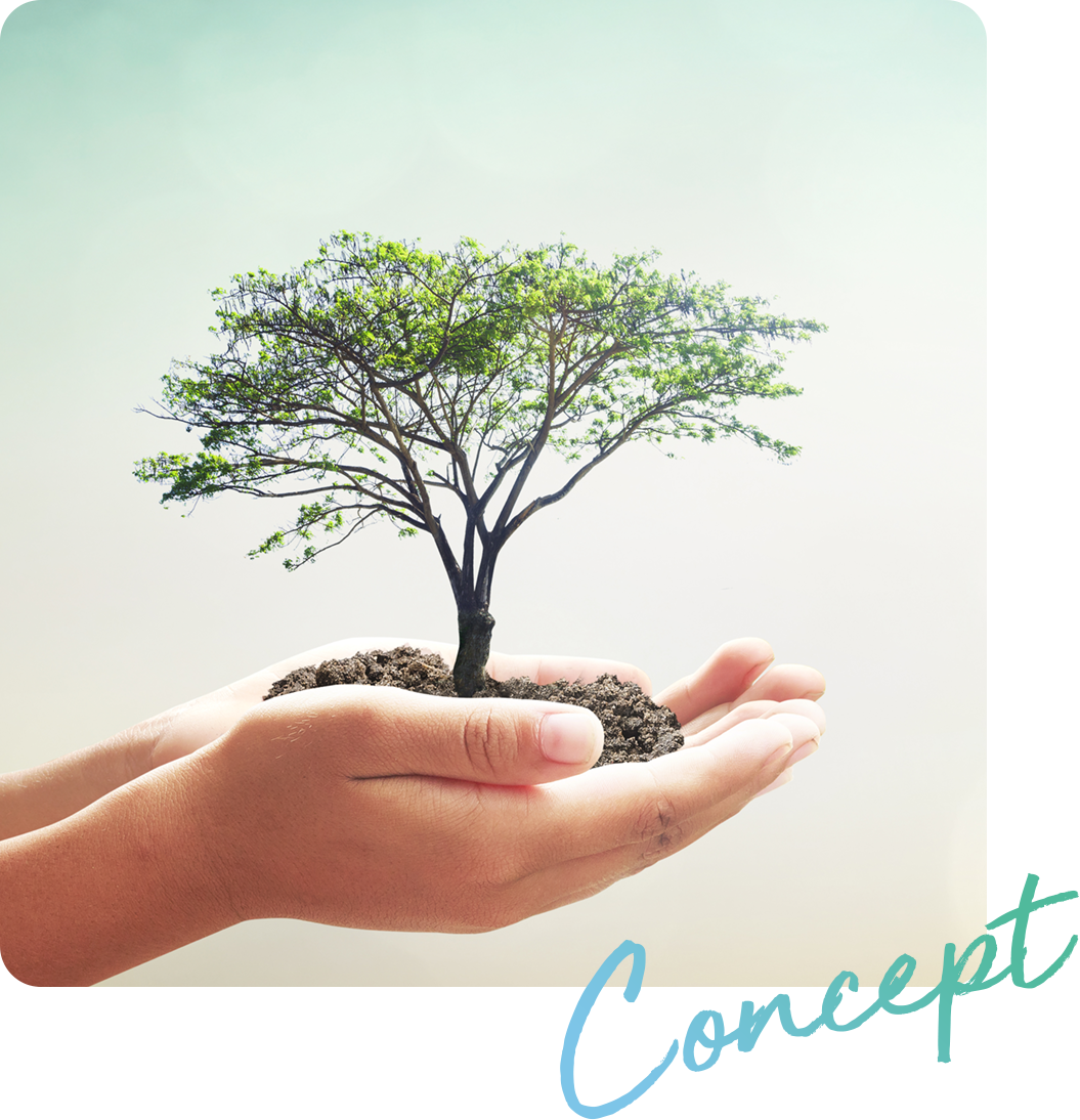 Concept